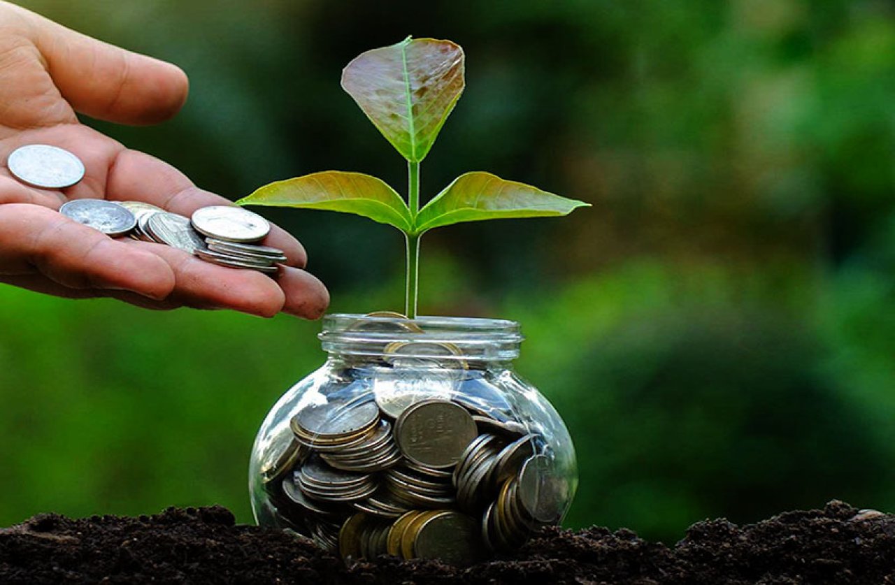 Comment Obtenir des Financements pour des Projets Agricoles au Sénégal ?