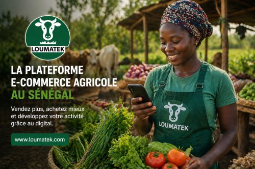 Plateforme e-commerce agricole au Sénégal : pourquoi vendre en ligne est devenu incontournable ?