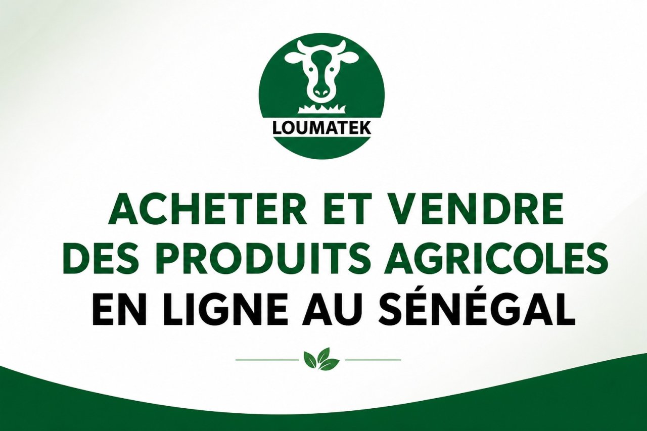 Acheter et vendre des produits agricoles en ligne au Sénégal : le guide complet pour 2026
