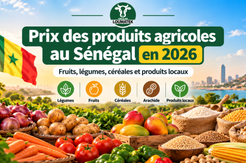 Prix des produits agricoles au Sénégal en 2026 : fruits, légumes, céréales et produits agricoles