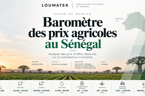 BAROMÈTRE LOUMATEK DES PRIX AGRICOLES AU SÉNÉGAL  Édition — Octobre 2026
