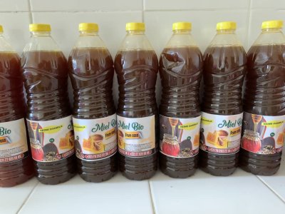 MIEL Bio de  Casamance