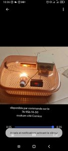 Couveuses manuels de capacité 50 œufs