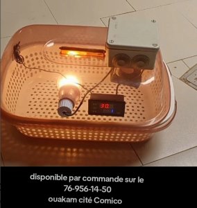 Couveuses manuels de capacité 50 œufs