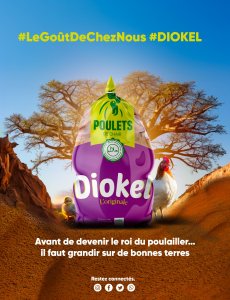 Poulet de chair 2 kg à 3500 frs
