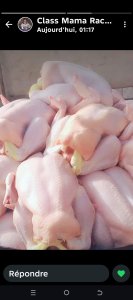 Poulets de chair de très bonne qualite