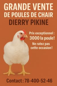 Poulet de chair