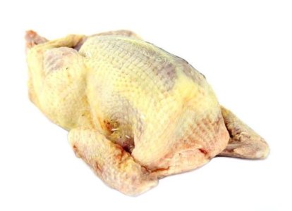 Piegon de chaire prét à cuire