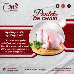 Vente poulet de chaires bien Depulmé
