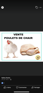 Vente de poulets chair