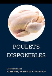 Poulets de chairs 3500 fcfa