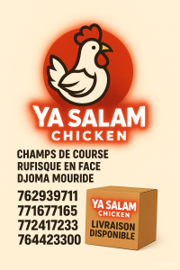 Poulets de chair
