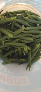 Gombo frais 500 f kg