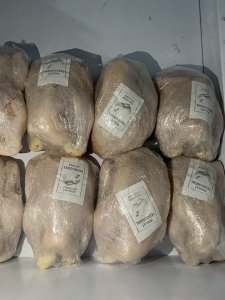 Poulet de chair kermesse massar