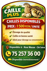 Caille de chair