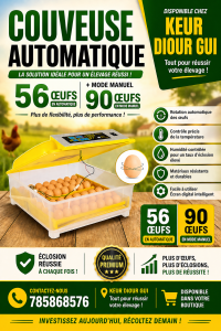 Couveuse automatique 56 oeufs