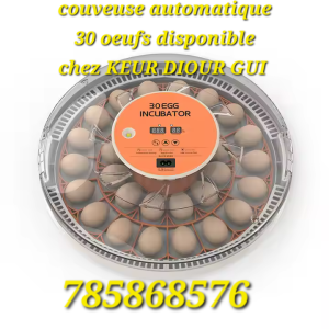 Couveuse automatique 30 oeufs