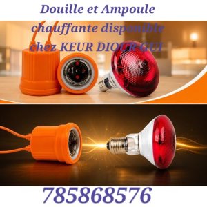 Douille et ampoule chauffante pour poussins