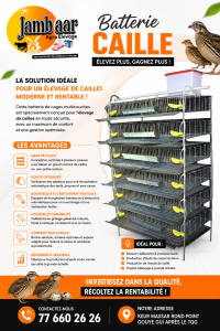 Batterie caille