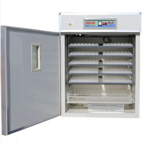 Couveuse automatique 1056 oeufs