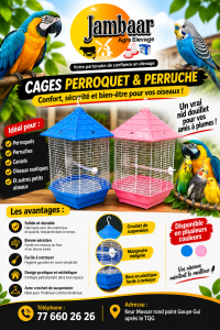 Cage perruche