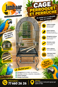 Cage à oiseaux