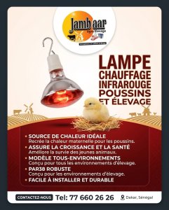 Lampe chauffage