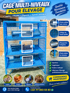 Case de poulet,pigeon et lapin à Dakar - 65 000 Fcfa