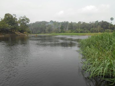 500 hectares de terrain agricole à louer à Mengang au Cameroun