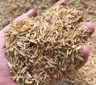 Copeau de riz au Sénégal - 1600 Fcfa