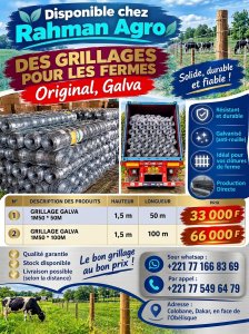 Grillage galvanisé au Sénégal - 33000 fcfa