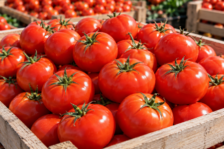 Tomates Marocaine La livraison au Sénégal