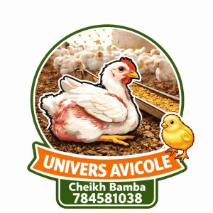 Vente poulet de chair à Thiès - 3500 Fcfa
