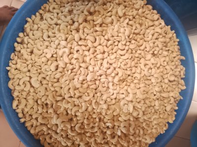 Vente noix de cajou (anacarde ) au Sénégal à Ziguinchor - 8000 Fcfa kg