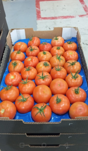 Vente Tomates marocaine - 600 fcfa kg