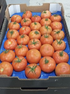 Vente Tomates marocaine - 600 fcfa kg