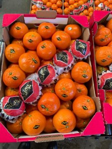 Fruits et Mégumes origine Marocaine