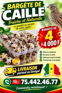 Œufs de caille au Sénégal à Kaolack - 3000 Fcfa