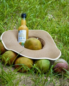 Nectar de Mangue Sénégalaise - 2000 Fcfa / 500 Ml