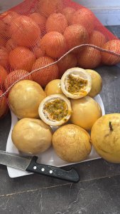 Fruit de la passion au Sénégal - 2500 fcfa / kg
