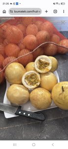 Fruit de la passion au Sénégal - 2500 fcfa / kg