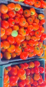 Tomates fraîches Sénégal  - 5000 fcfa