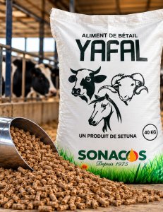 Aliment Bétail Yafal 40kg - 10 000 Fcfa