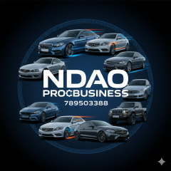 NDAO PRO BUSINESS