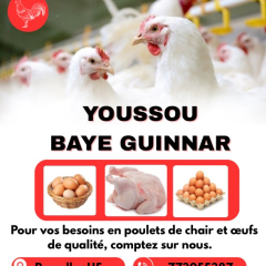 hane youssoupha