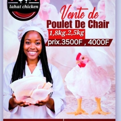 Lahat Chicken