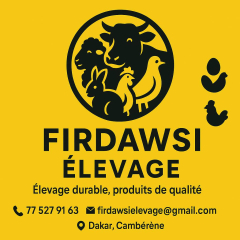 FIRDAWSI ÉLEVAGE