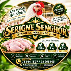 Serigne Senghor