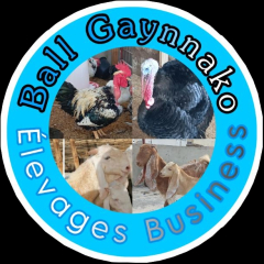 Ball Gaynnako